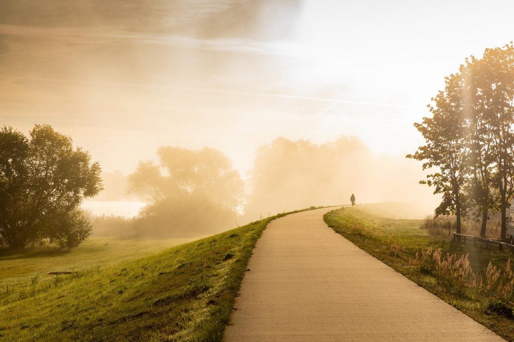path, on foot, fog