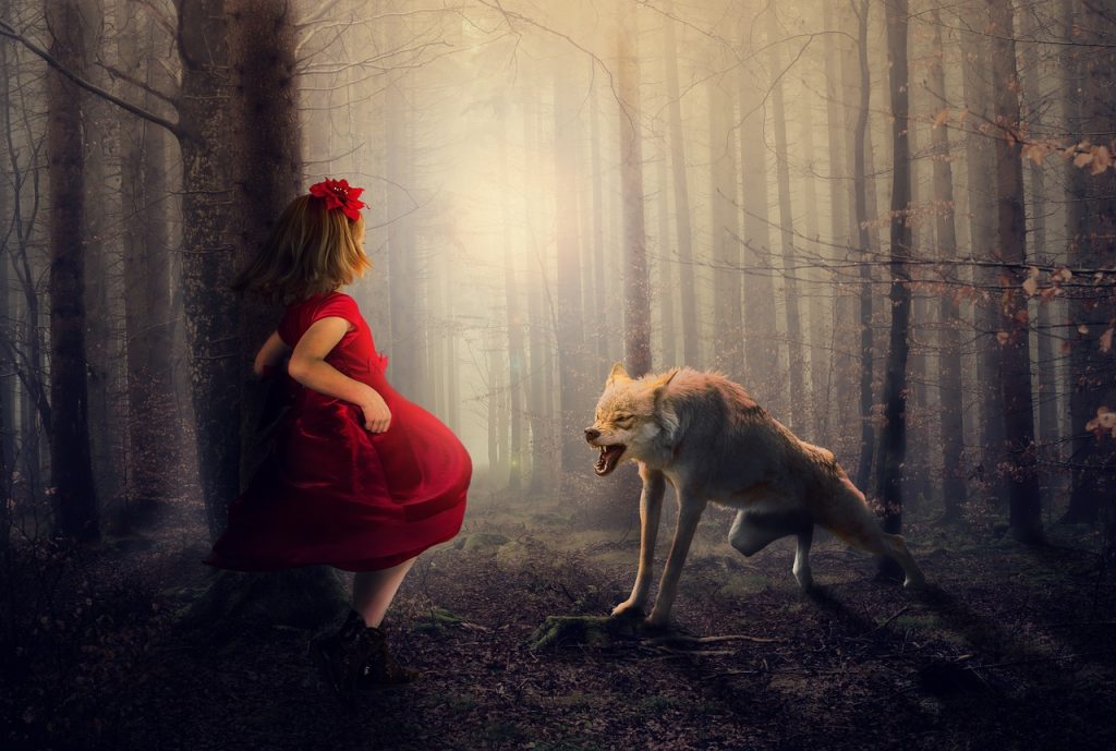 red, wolf, forest-3502258.jpg